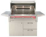 Alfresco AIPG 42